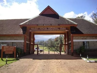 Castle Forest Hike & Kamweti Fall
