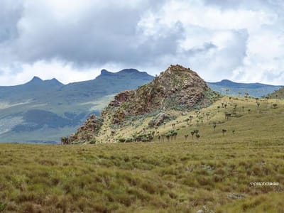 Kanyundo - Maratini Challenging Hike