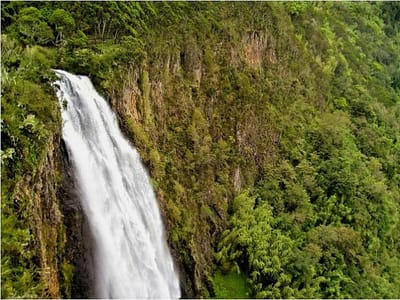 Kakamega Rainforest Adventure