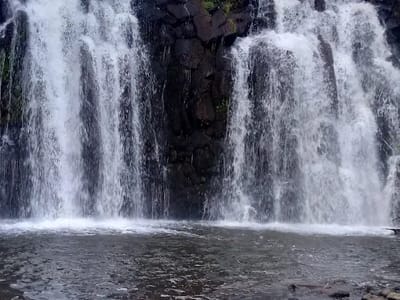 CASTLE FOREST HIKE & KAMWETI FALLS