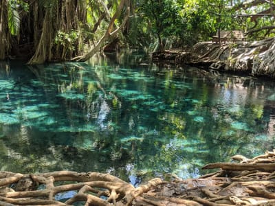 ARUSHA ADVENTURE PACKAGE: HOT SPRINGS, ART & LAKE DULUTI