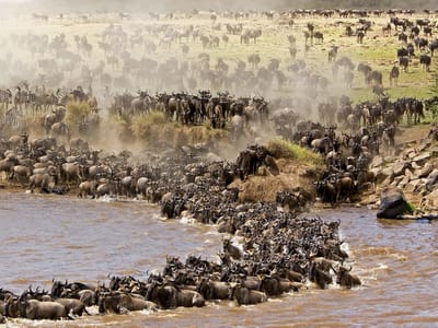 3-Day Maasai Mara Safari