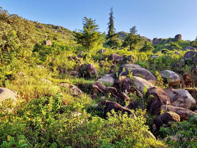 Maragoli Hills Hike: Cultural Heritage Expedition