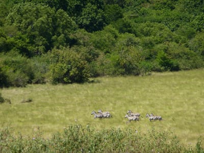 Ndere Island Hike: A Scenic Adventure in Lake Victoria