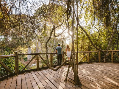 Ngare Ndare Forest Adventure