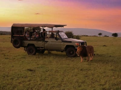 Christmas & New Year Masai Mara Group Joining Safari
