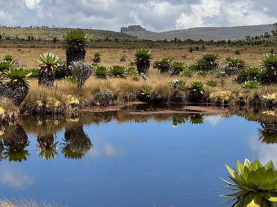 TABLE MOUNTAIN SEVEN PONDS TRAVERSE