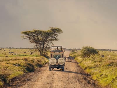5-Day Tanzania Wildlife Safari