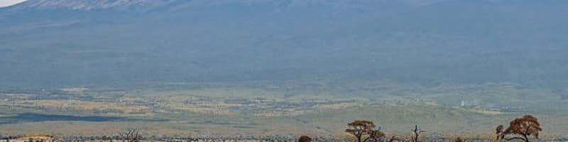 Przygoda Family Holiday Safaris