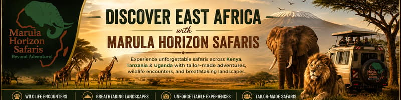 Marula Horizon Safaris