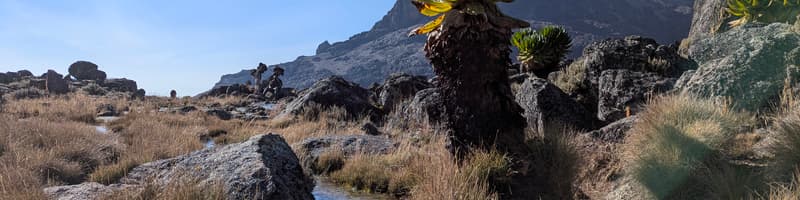 Snowpeaks Tours
