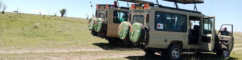 Fauna Safaris