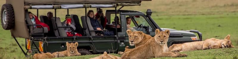 Milana Tours and Safaris
