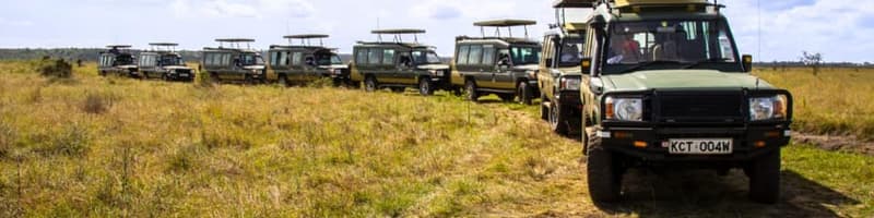 Saafo Safaris
