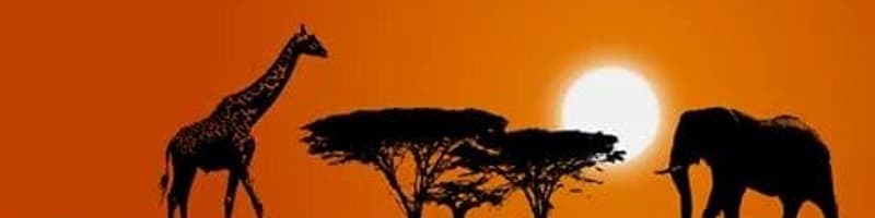 Touchwild TOURS and Travel